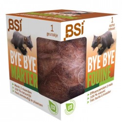 BSI Bye Bye Fouine...
