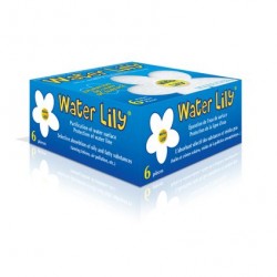 WATER LILY 1 pce/st.