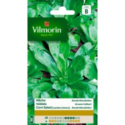 Mâche Ronde Maraîchère