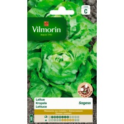 Laitue Sagess