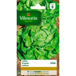 Laitue Hilde