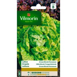 Laitue Grosse Blonde...
