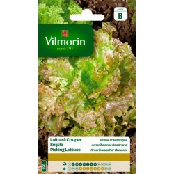 Laitue À Couper Frisé...