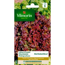 Laitue À Couper Green salad...