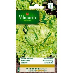 Laitue Batavia Blonde De Paris