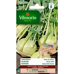 Chou Rave Blanc De Vienne