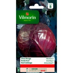 Chou Rouge Tête Noir 3