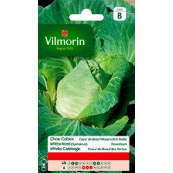 Chou Cabus Coeur De Boeuf...