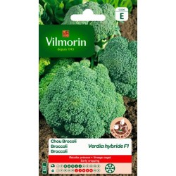 Chou Brocoli Verdia HF1