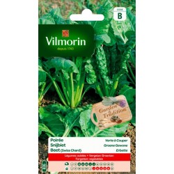 Poirée Verte À Couper