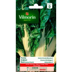 Poirée Verte À Carde Blanche 3