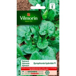 Epinard Symphonie HF1