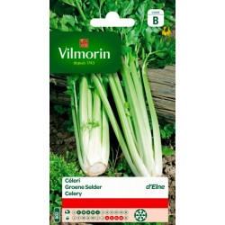 Céleri À Côtes D'Elne