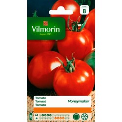 Tomate Moneymaker