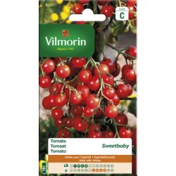 Tomate Sweetbaby