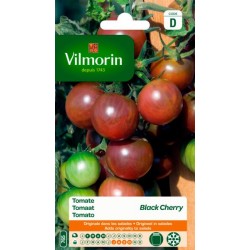 Tomate Black Cherry