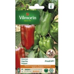Poivron Predi HF1