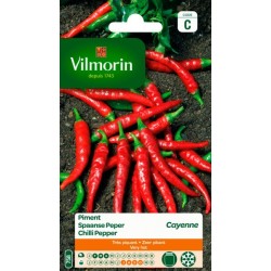 Piment Cayenne