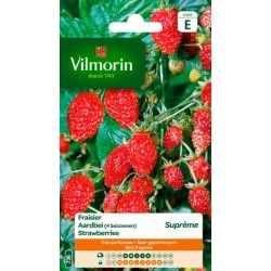 Fraisier Des 4 Saisons Suprème