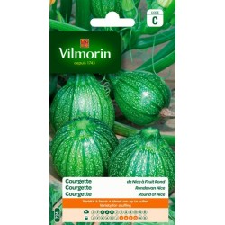 Courgette De Nice À Fruit Rond