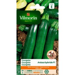 Courgette Anissa HF1