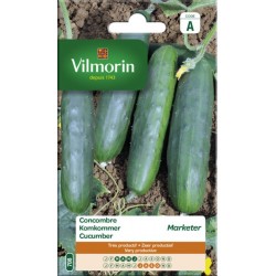Concombre Marketer