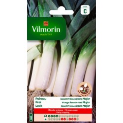 Poireau Géant Précoce Race...