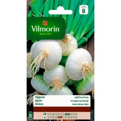 Oignon Hâtif de Paris