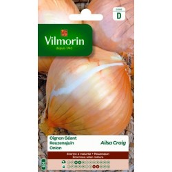 Oignon Géant Ailsa Craig