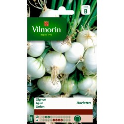 Oignon Barletta