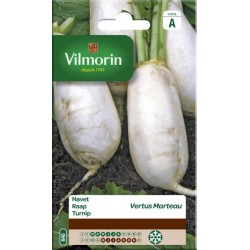 Navet Vertus Marteau