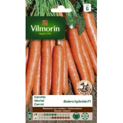 Carotte Boléro HF1