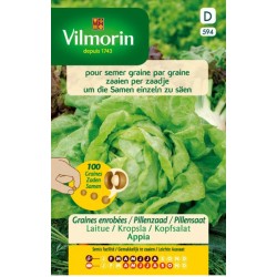 Laitue Pommée Sylvesta...