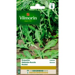 Roquette Cultivée 20g