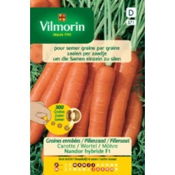 Carotte Nandor Hf1 Enrobées
