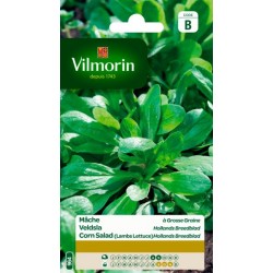 Mâche À Grosse Graine 15g