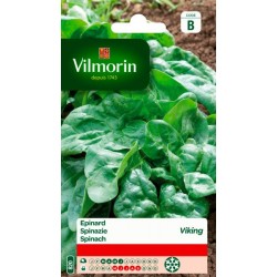 Epinard Viking 50g