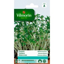 Cresson Alenois Commun 50g