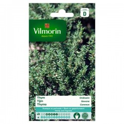 Thym Ordinaire