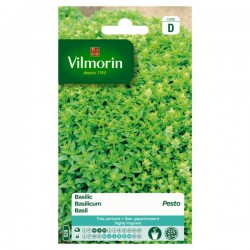 Basilic Pesto