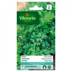 Persil Géant D'Italie