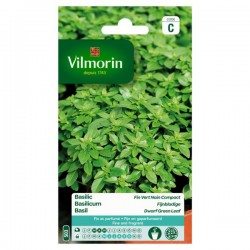 Basilic Fin Vert Compact