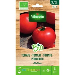 Tomate Matina BIO