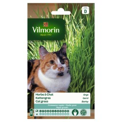 Herbe À Chat Orge 50g