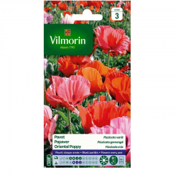 Pavot Pizzicato En Mélange