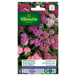 Oeillet De Poête Hirondelle...