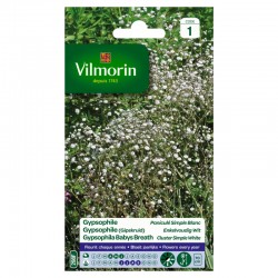 Gypsophile Paniculée Simple...