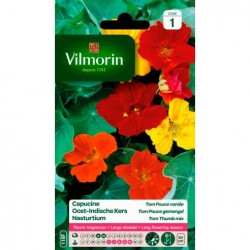 Capucine Tom Pouce Variée