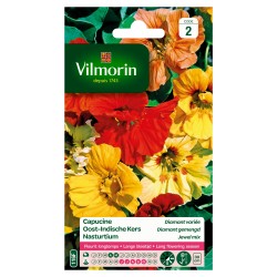 Capucine Diamant Variée