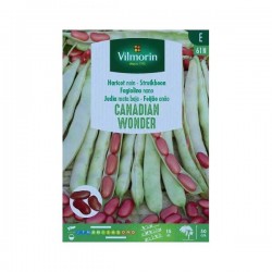 Haricot Nain à Ecosser...